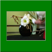2011_11_Ikebana003.jpg