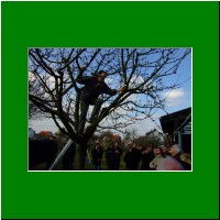 2009_03_Winterschnitt_7.jpg