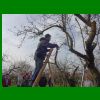 2024_03_Winterschnitt_005.jpg